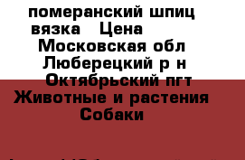 померанский шпиц - вязка › Цена ­ 3 000 - Московская обл., Люберецкий р-н, Октябрьский пгт Животные и растения » Собаки   